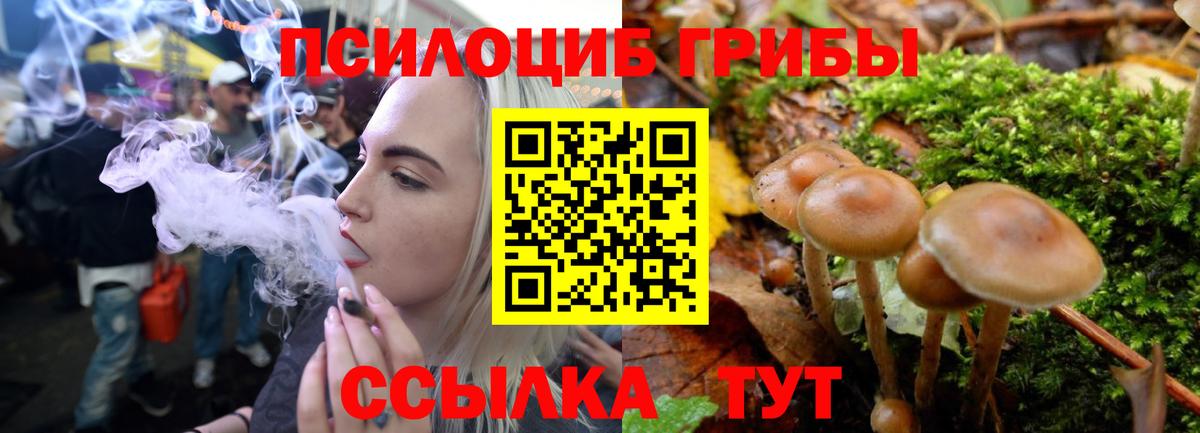 Карачаевск  Галлюциногенные грибы Psilocybe  Галлюциногенные грибы GOLDEN TEACHER  Вход с VPN 